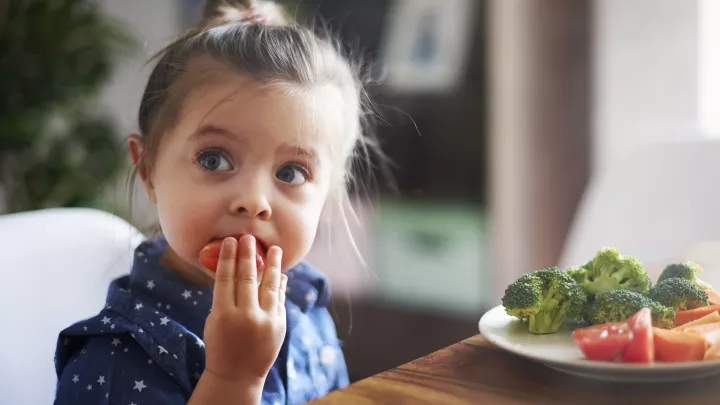 Toddler sitting at a table eating a slice of tomato next to a plate with broccoli and tomatoes on it.