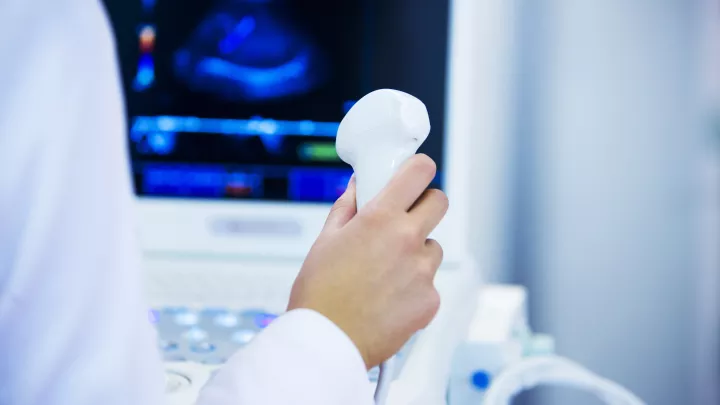 Close-up of doctor’s hand holding an ultrasound transducer in front of a monitor