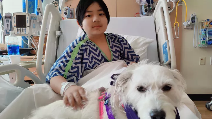Young male patient with light skin tone sitting in hospital bed with large white dog