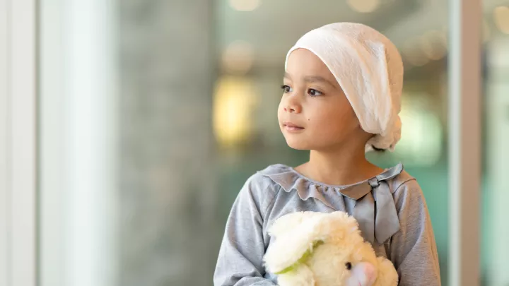 A young girl with cancer holds a teddy bear while looking out the window. 