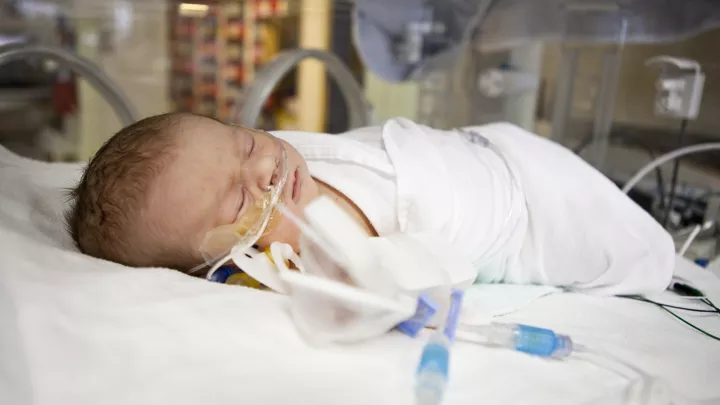 Newborn with fuzz of light brown hair sleeps in an incubator in a NICU. Breathing tubes are coming out of the baby’s nose.