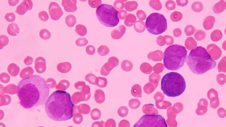 A few large purple circles are scattered amidst many smaller dark pink circles against a pale pink backdrop