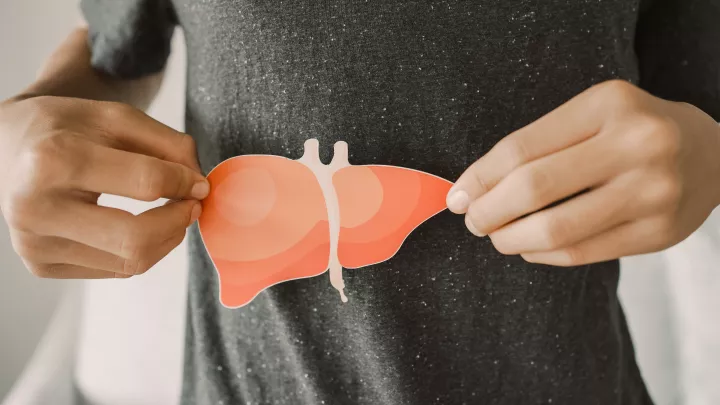 male torso in grey shirt with hands holding liver cutout