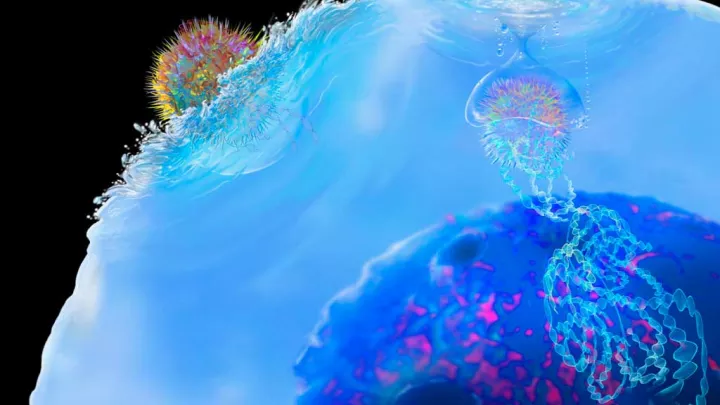 Brightly colored animated rendering of antigen entering a cell