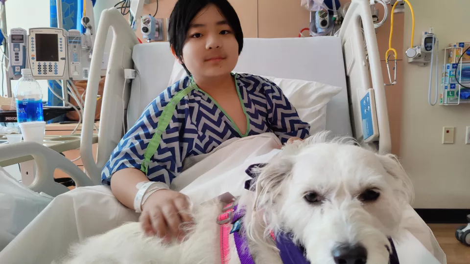 Young male patient with light skin tone sitting in hospital bed with large white dog