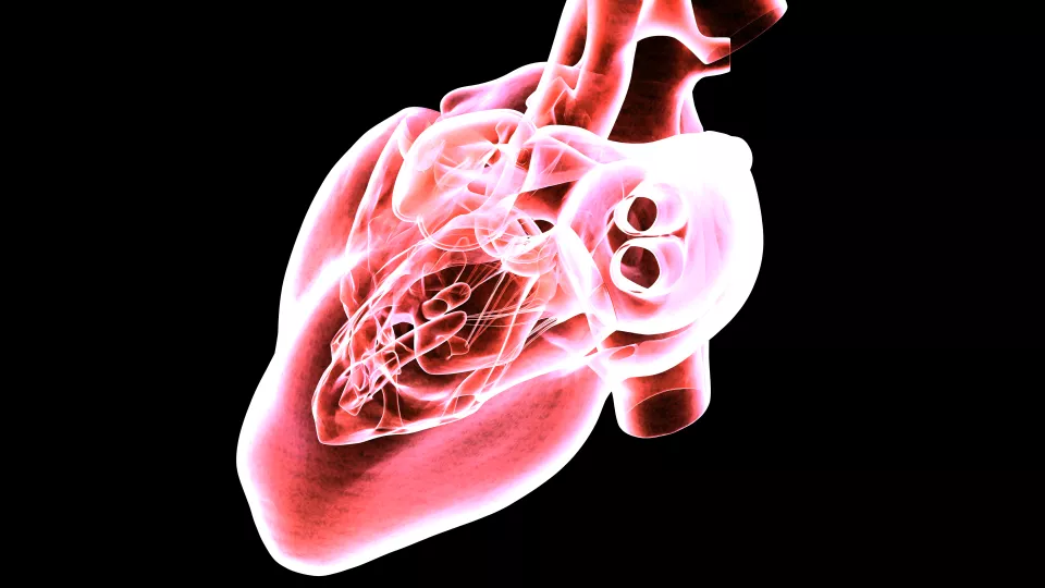 MRI image of healthy heart tinted pink with black background