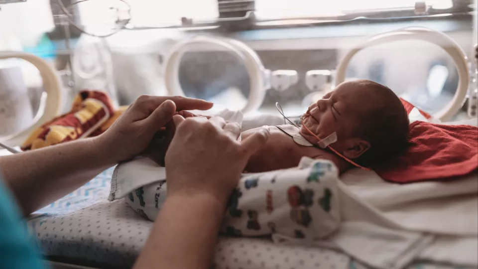 premature baby in incubator with woman's hands 