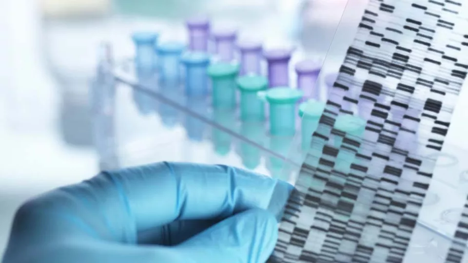 Hand wearing a blue medical glove holds a DNA sample.