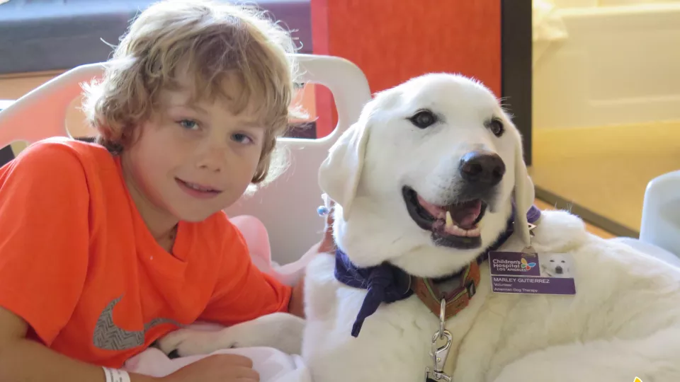 Therapy dogs for children's orders hospital