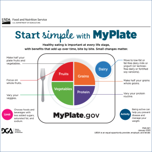 Colorful chart explaining how to proportion your meals using the five food groups