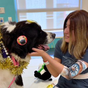 A patient in orthopedic therapy places stickers on a Therapy Dog. 