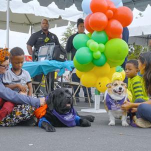 Kids visit with CHLA therapy dogs