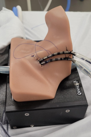 Medical training device in the shape of a human neck and throat
