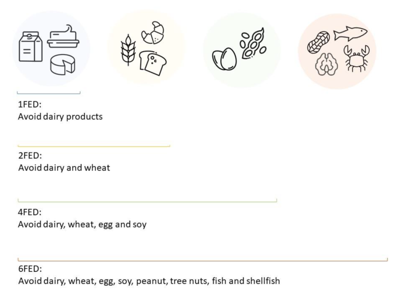 Infographic of elimination diet categories.