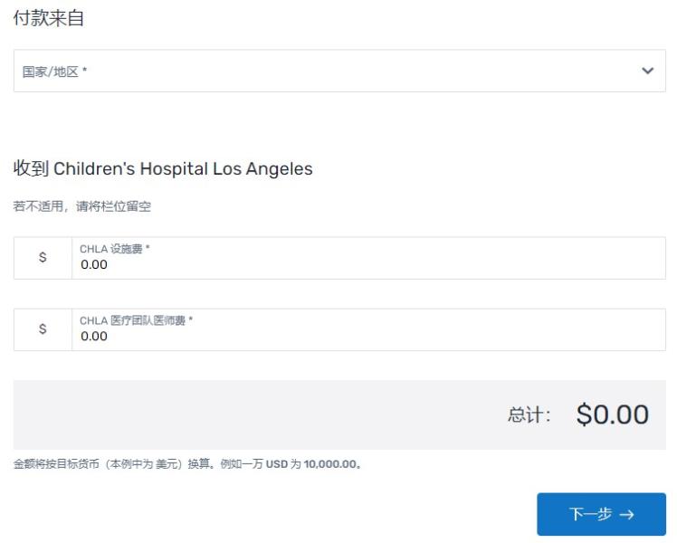 Screengrab from Flywire website with Chinese text indicating how to pay your hospital bill