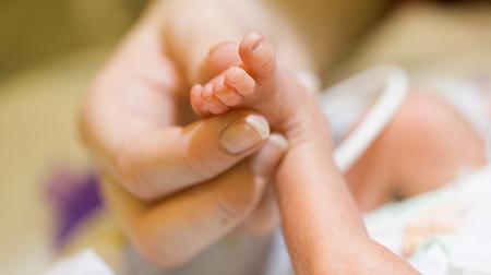 Close-up of adult hand holding foot of a premature baby about to receive ECMO support