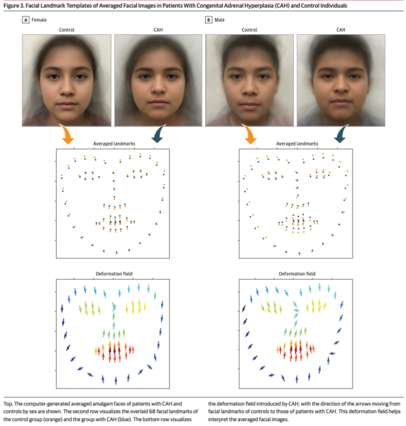 Geffner Lab 2.png